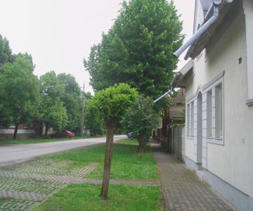 Mini Hotel Apartments