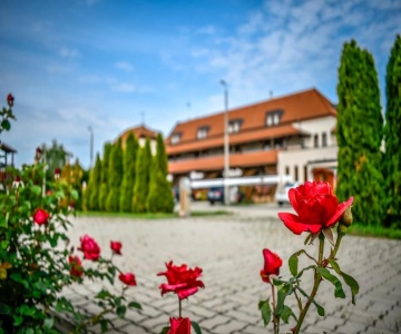 Rozsa Csarda Restaurant Hotel