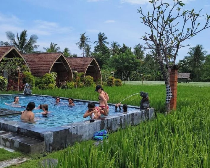 Umma Bali Menjangan Retreat