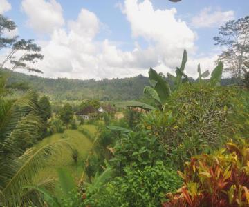 Shantiasa Bali