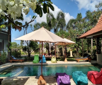 Premier Surf Camp