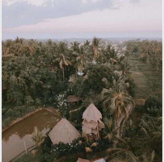 Firefly Eco Lodge