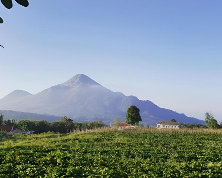 Avila Ketapan Rame Hotel