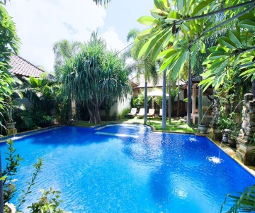 Pazzo Bali