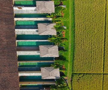 Alam Puisi Villa Ubud
