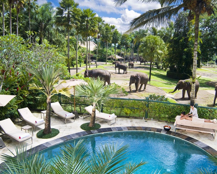 Mason Elephant Park & Lodge