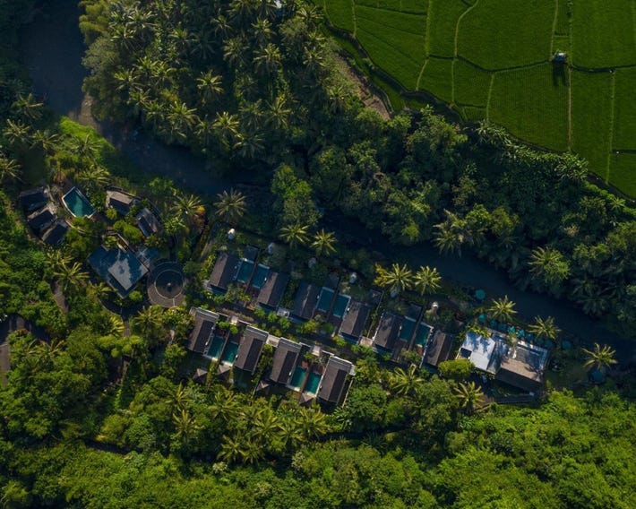 The Samaya Ubud