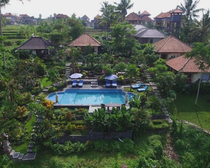 Villa Capung Mas Ubud