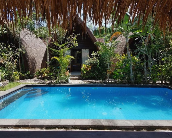 Zipp Bar Restaurant & Bungalows