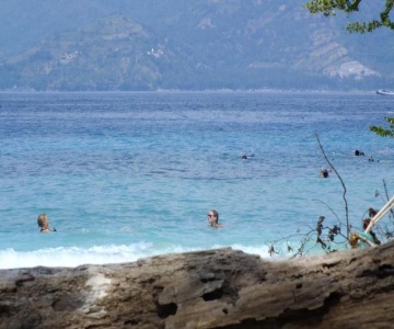Kontiki Cottages