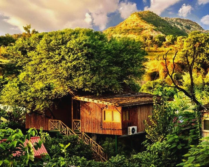 The Tree House Resort, Jaipur- A Club Mahindra Associate