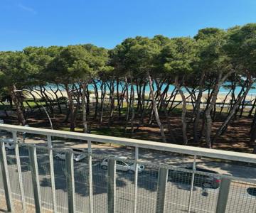 Alba Mare
