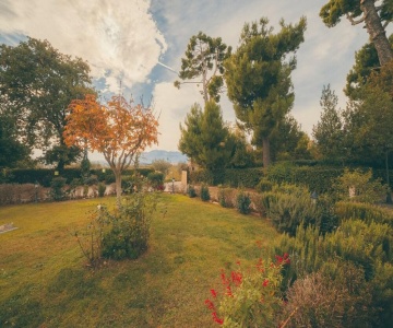B&B Locanda Tre Pini