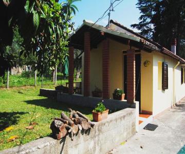 L'albero Delle Noci