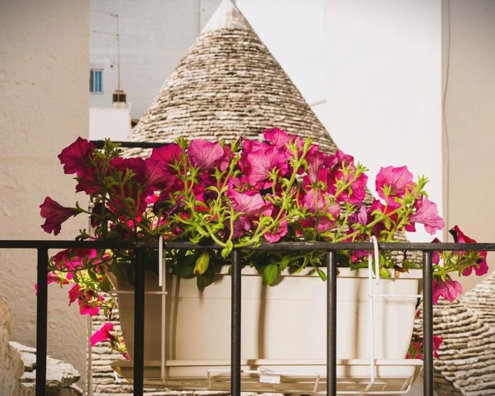 Il Trullo Moore Alberobello