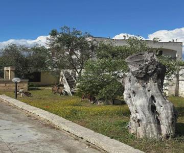 B&B Sant'Antonio