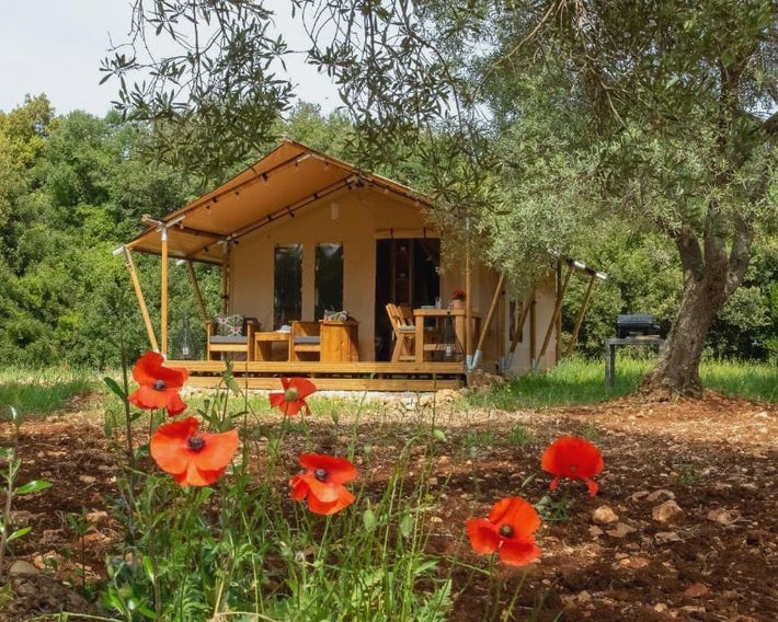 Domus Olea Glamping