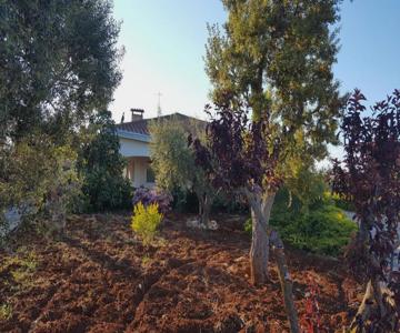 La Civetta Rodonisa