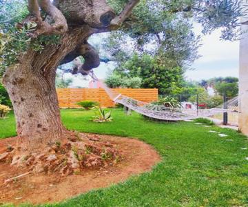 La casa di Nonno