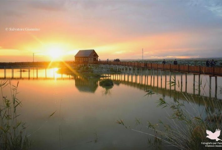 Casa caretta caretta