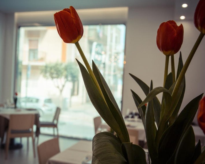 Hotel Ristorante Rinelli