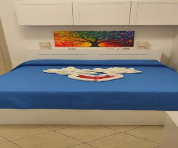 Storm Sonic House
