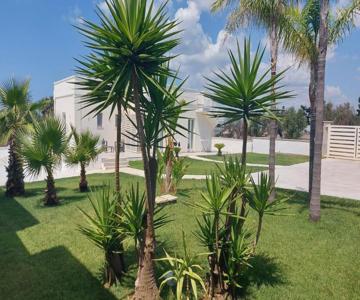 B&B Terra E Mare