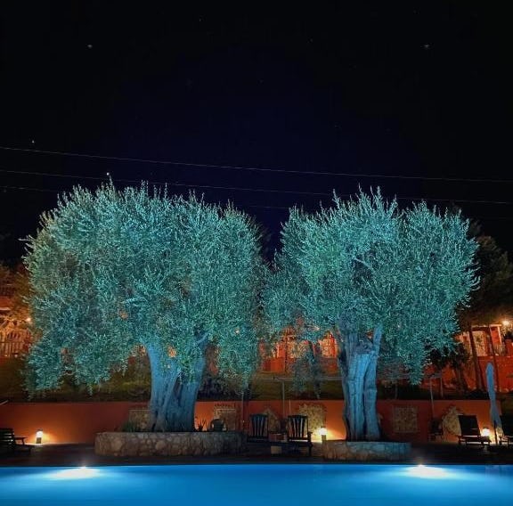 Hotel Resort Poggio degli Ulivi