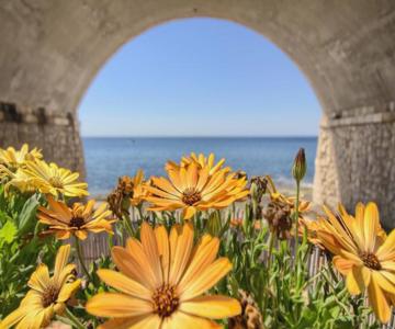 La casa in riva al mare by LoveSud