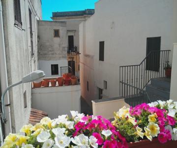 Campacavallo B&B