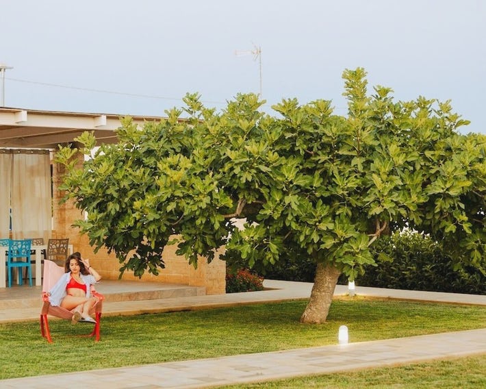 Domus Terra Mare