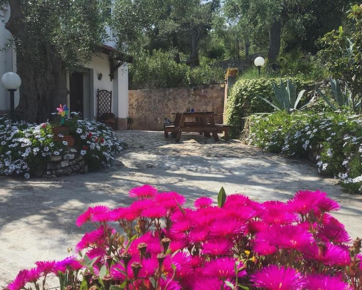 Azienda Agricola B&B Macchiaria