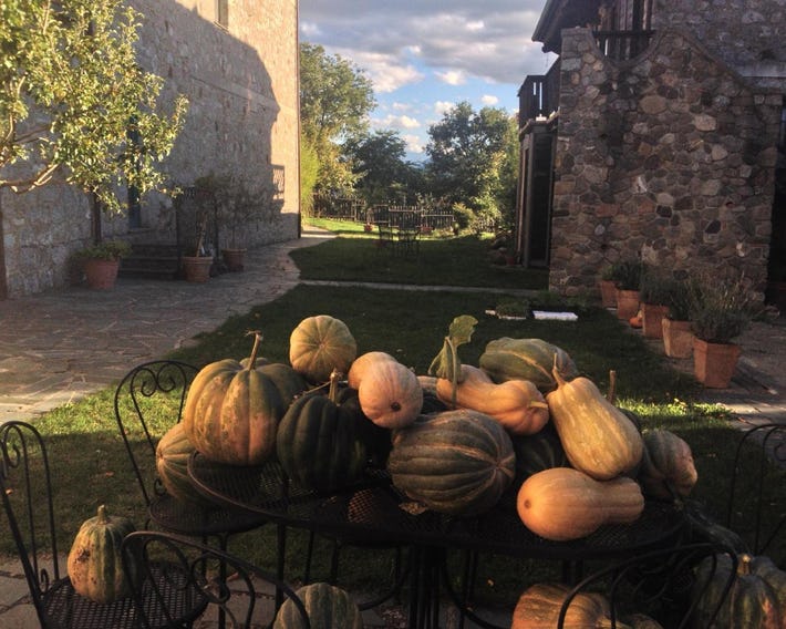 Azienda Agricola Il Querceto
