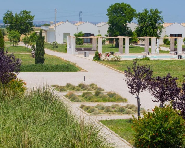 Masseria Fontana di Vite