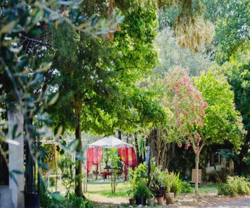 Apricot Bed and Breakfast