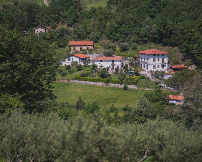 Agriturismo La Valle degli Ulivi