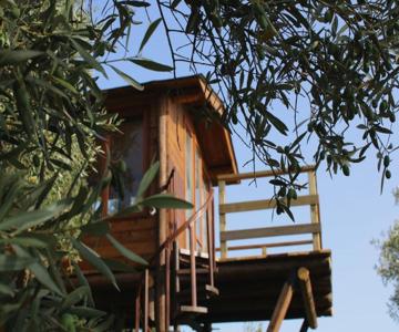 The Treehouse - Casa sull'albero al Golden Camp
