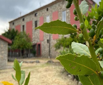 Tenuta Terra Rossa