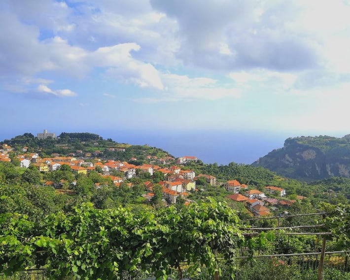 Agriturismo il Castagno