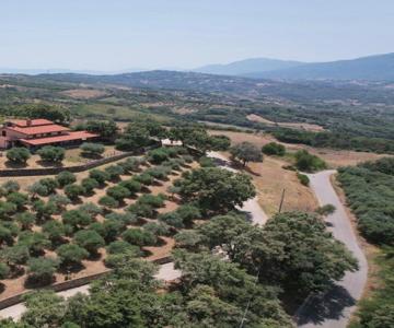 Tenuta Raimo