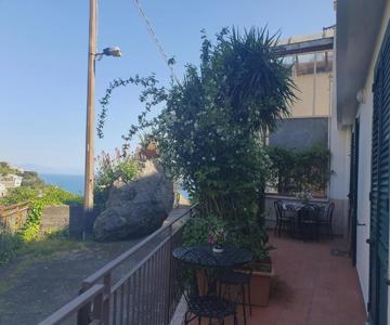 La Ginestra