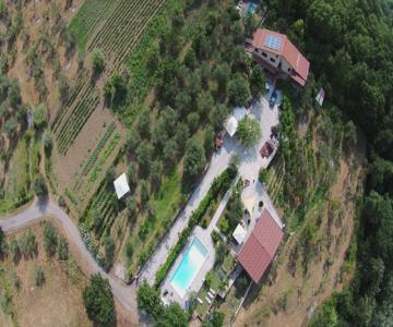Tenuta Martino