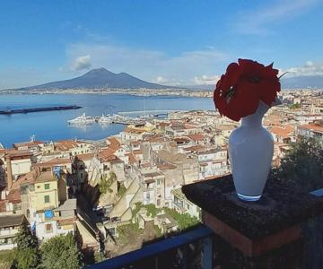 Stabia Gulfview