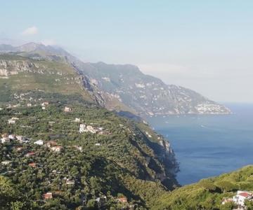 Esse House