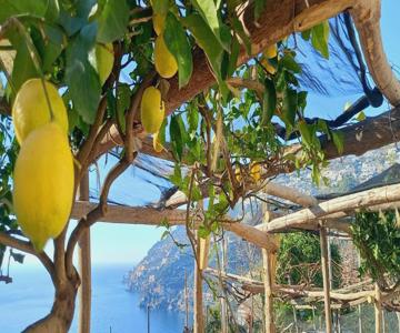 Takeamalficoast Main House