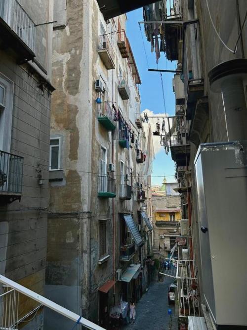Maison Palu'