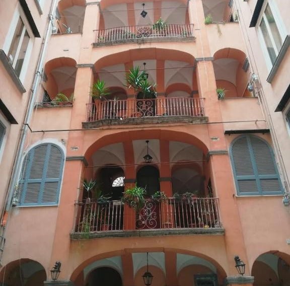 Domusrealstella