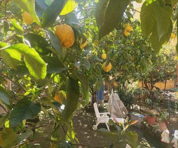 Il giardino nascosto