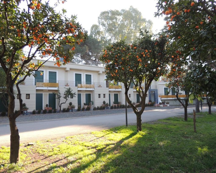 Hotel Zeus
