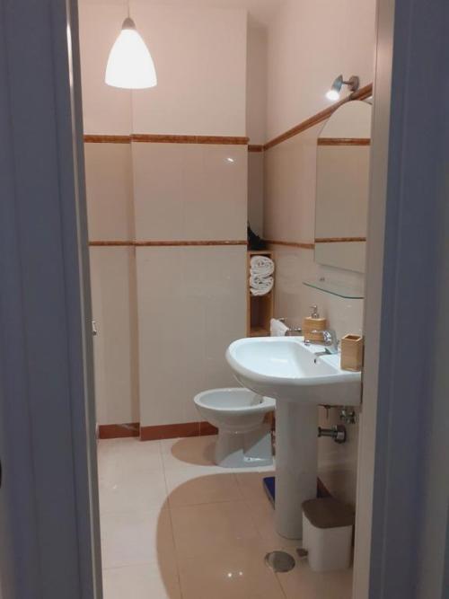 Olimpia Apartment City Center